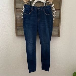 Anthropologie‎ Pilcro high rise dark wash denim skinny jeans 31